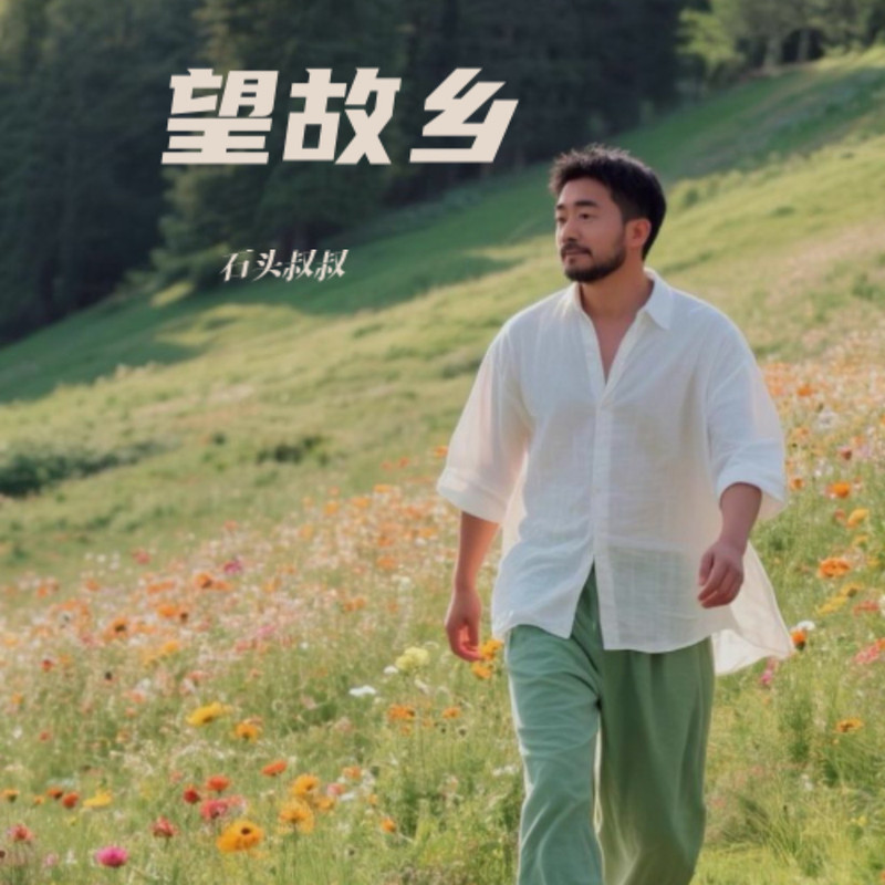 望故乡 封面