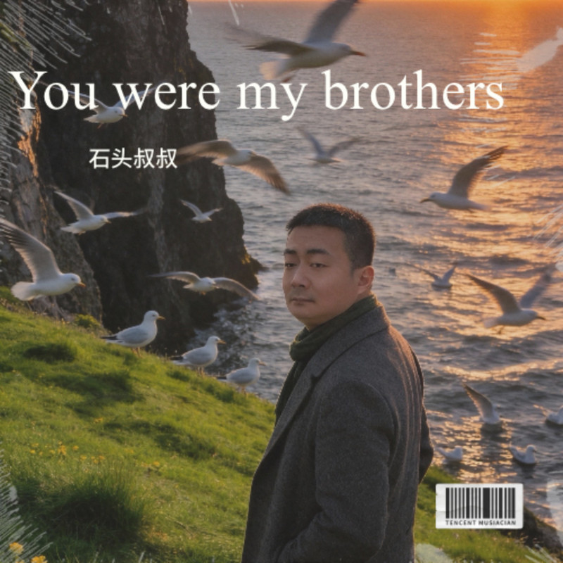 You were my brothers 封面