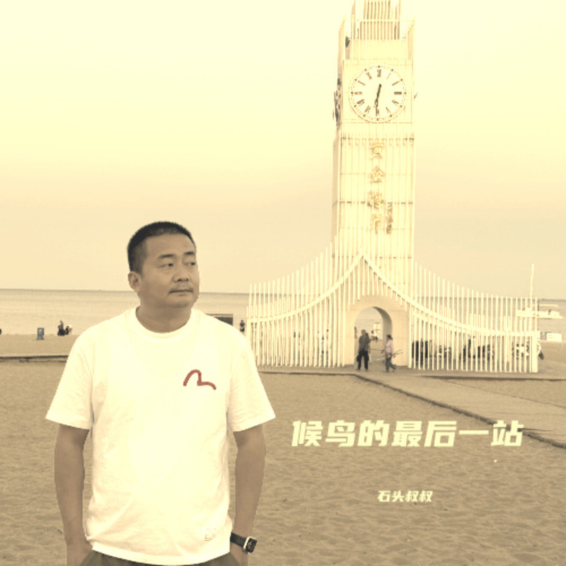 候鸟的最后一站 封面