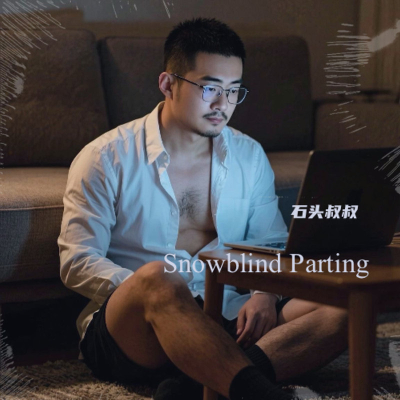 Snowblind Parting 封面